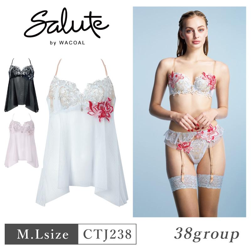 サルート（SALUTE） ワコール CTJ238 Wacoal salute 38グループ 38G