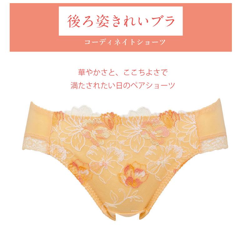 Wing ワコール ウイング ショーツ KF2818 後ろ姿きれいブラ KB2718