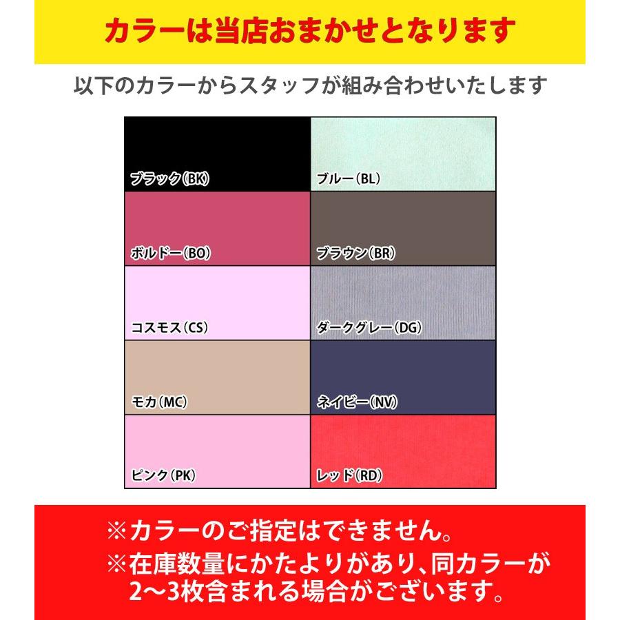 Ｔバックショーツ 5枚組セット Linge de H ランジュ ド アッシュ 色おまかせ 福袋 ハッピーバッグ マイクロファイバー NC4145 NC41-SET5 返品・交換不可｜i-may｜05