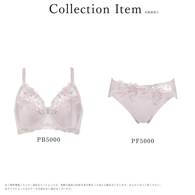 Wing ワコール ウイング ブラジャー PB5000 レシアージュ 5000シリーズ