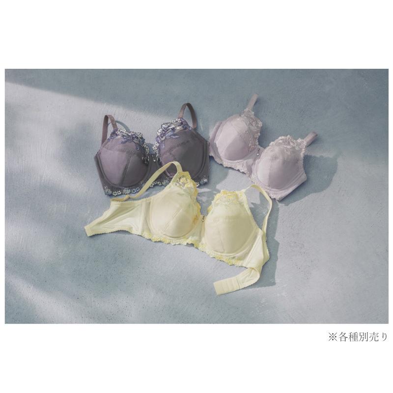 Wing ワコール ウイング ブラジャー PB5000 レシアージュ 5000