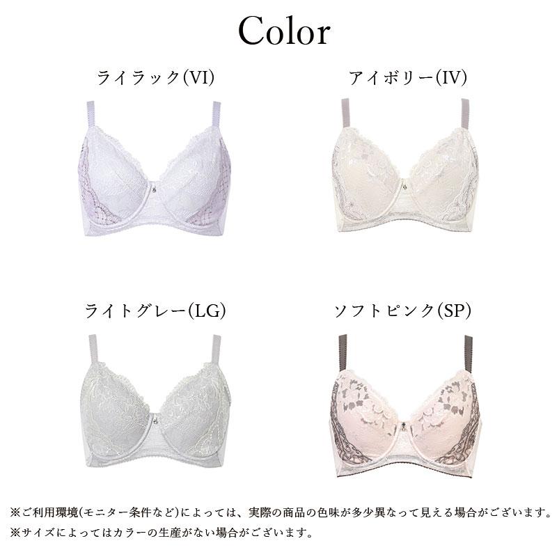 Wing ワコール ウイング フルカップブラジャー PB6001 Wacoal