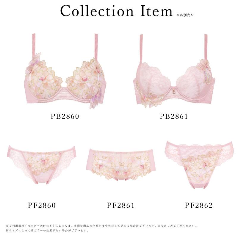 Wing ワコール ウイング PF2862 レシアージュ Lesiage 2860