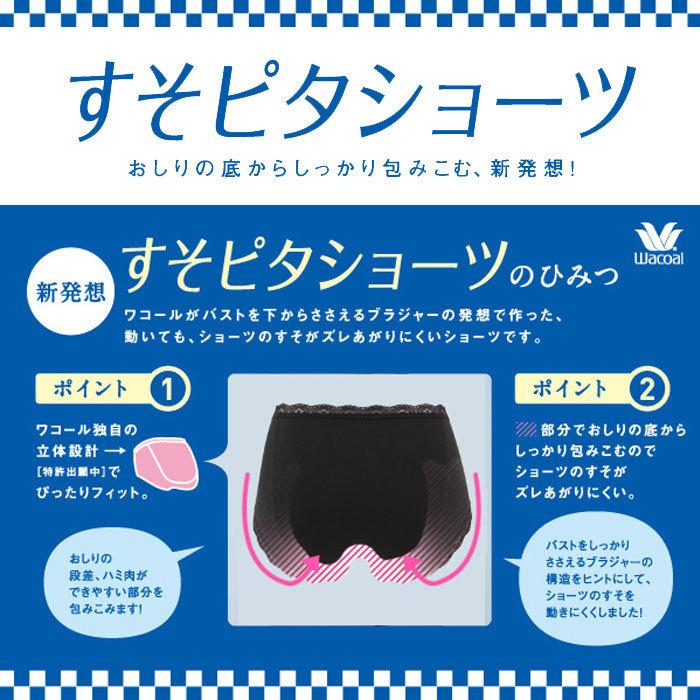 専用【ワコール】すそピタショーツ のびのびフィット 　M　ふつう　新品 WACOAL ワコール すそピタ ショーツ はきこみ丈ふつう ノーマル