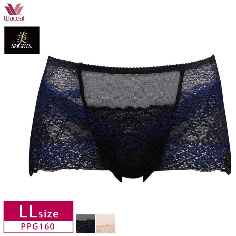 ワコール　【美ショーツ 骨盤サポート】 はきこみ丈【ふつう】 PPG160 M ワコール ショーツ 美ショーツ 骨盤サポート はきこみ丈ふつう PPG160