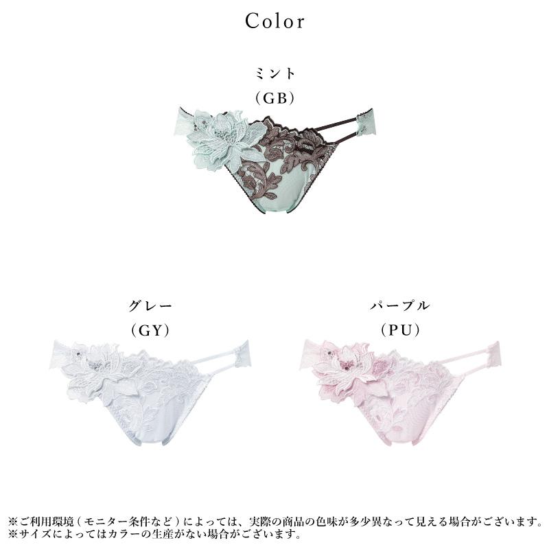 サルート（SALUTE） ワコール PTJ732 Wacoal salute 32グループ 32G