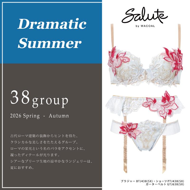 サルート（SALUTE） ワコール Wacoal salute 38グループ 38G BTJ438