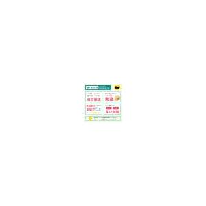 SINGER（シンガー） 1000円OFFクーポン16日まで！入園入学応援！ミシン 