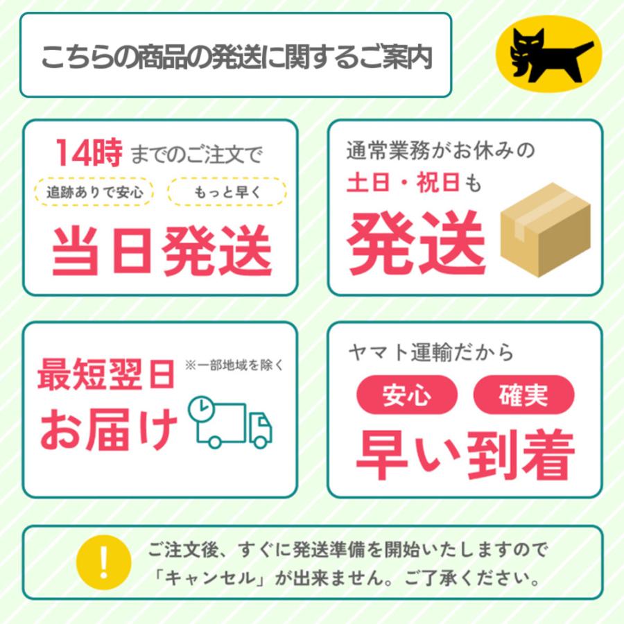 【新発売】簡単 安い ミシン 初心者 軽量 コンパクト 垂直釜 電動ミシン TOYO CANTAN TN20A TN20Sの画像