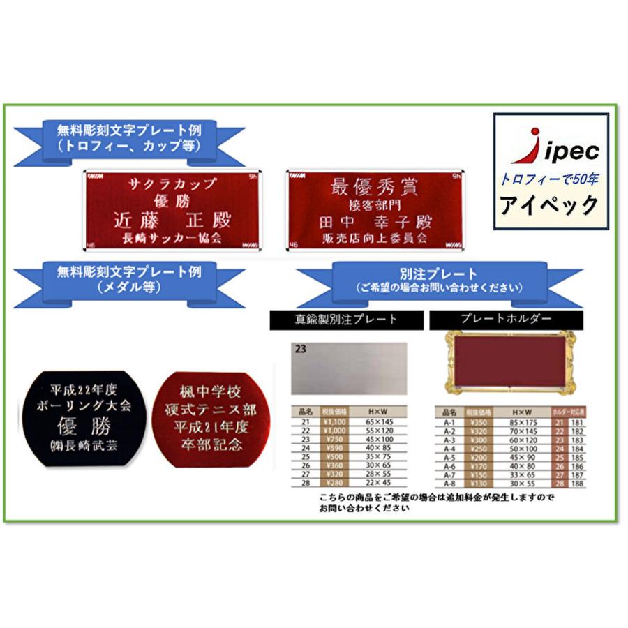 盾トロフィー 高さ16cm  Bサイズ トロフィー ゴルフ CCL-5553B 記念　表彰楯　野球　サッカー 競技23種類お選びできます｜i-pec｜03