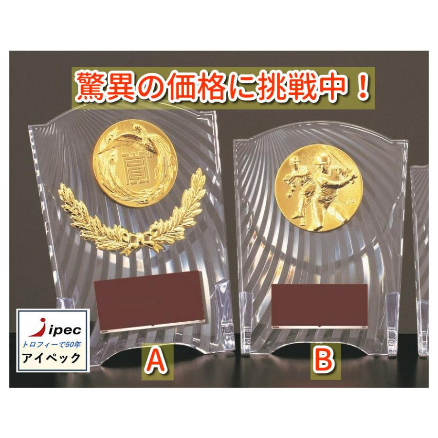 トロフィー 盾 CCL-5553B 楯 高さ16cm ゴルフ 記念 表彰楯 野球