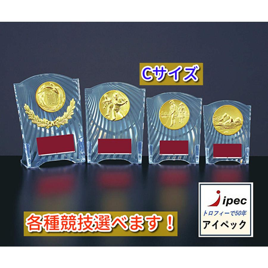 トロフィー　表彰盾　11個セット 楽天市場】トロフィー 盾 高さ17.5cm クラウン 王冠 名入れ
