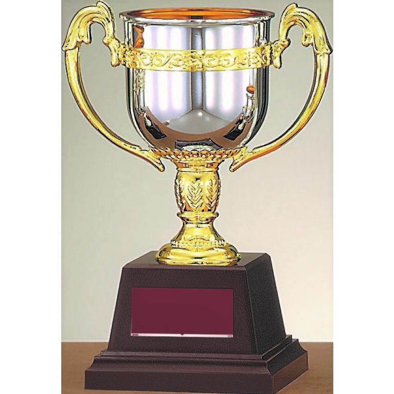 カップ　表彰 優勝カップ  Aサイズ  FC-125A樹脂製　野球　サッカー　コンペ　ゴルフ |  | 03