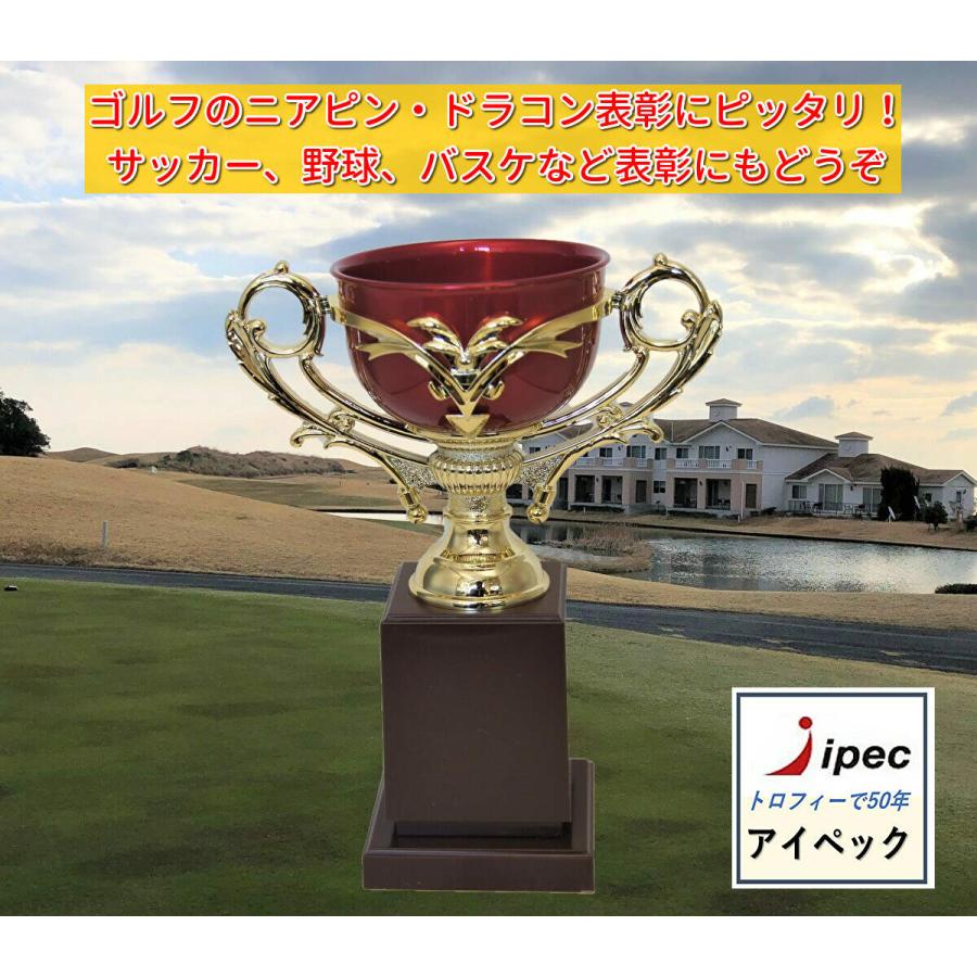 独特の素材 樹脂製 カップ Ct 1626 Eサイズ