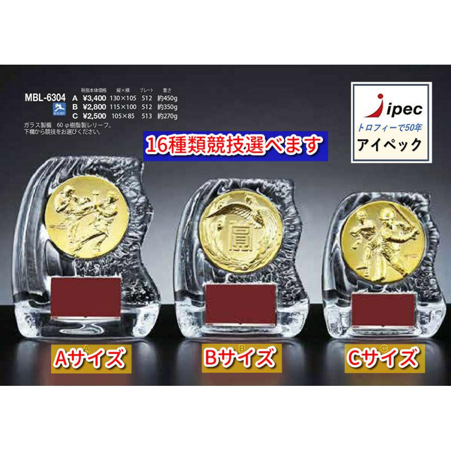 盾 ガラス Aサイズ 0.5kg MCL-6304A トロフィー 表彰 表彰楯 ガラス