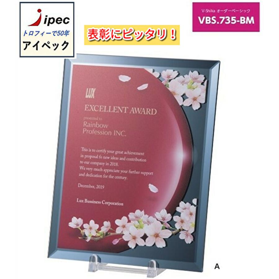 盾　高さ21cm Bサイズ　記念品　カラープリント　表彰楯VBS-735BM-B