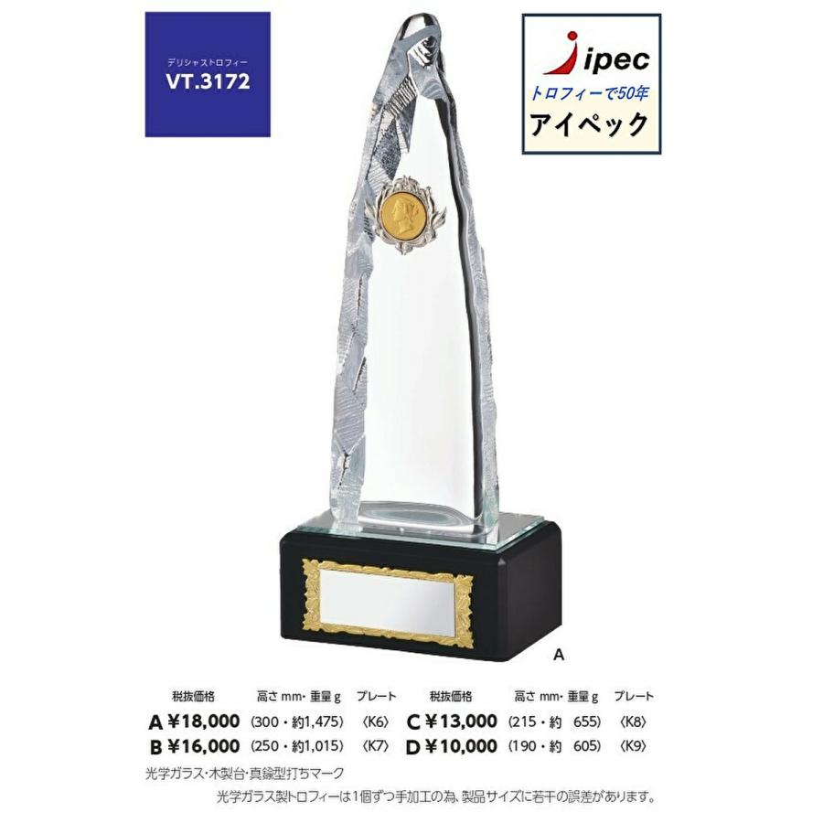 クリスタル ガラス トロフィ- 高さ25ｃｍ　 Bサイズ VT-3172-B　文字代無料　ゴルフ　コンペ　式典