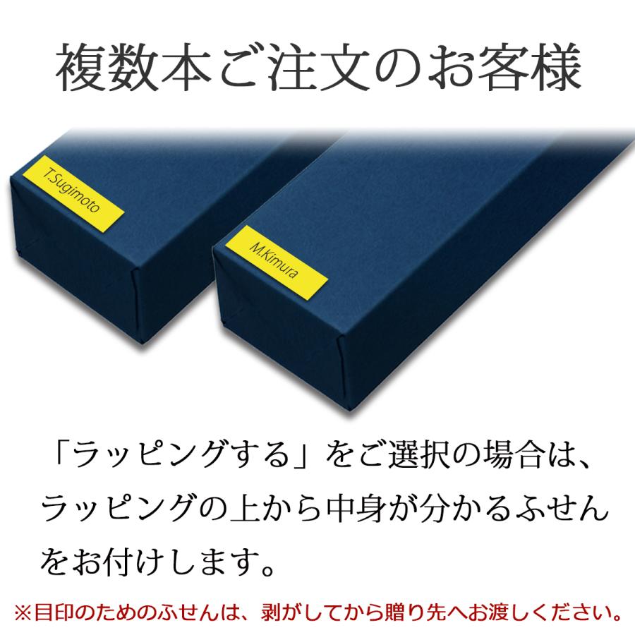 CARAN d'ACHE（カランダッシュ） ボールペン 名入れ 849 選べる5種類