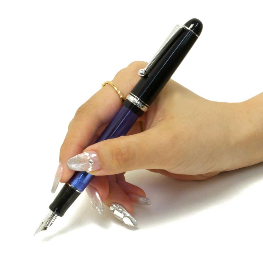 PILOT(文具) 万年筆 パイロット PILOT 限定2,500本生産 PILOT(文具) 万年筆 パイロット PILOT 限定2,500本生産