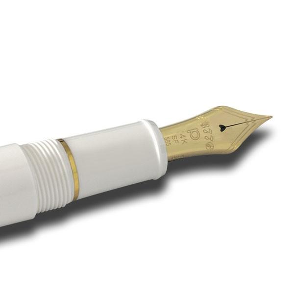 万年筆 プラチナ萬年筆 PLATINUM #3776 センチュリー #2 シュノンソー