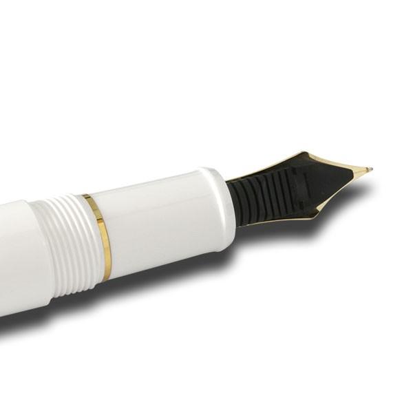 万年筆 プラチナ萬年筆 PLATINUM #3776 センチュリー #2 シュノンソー