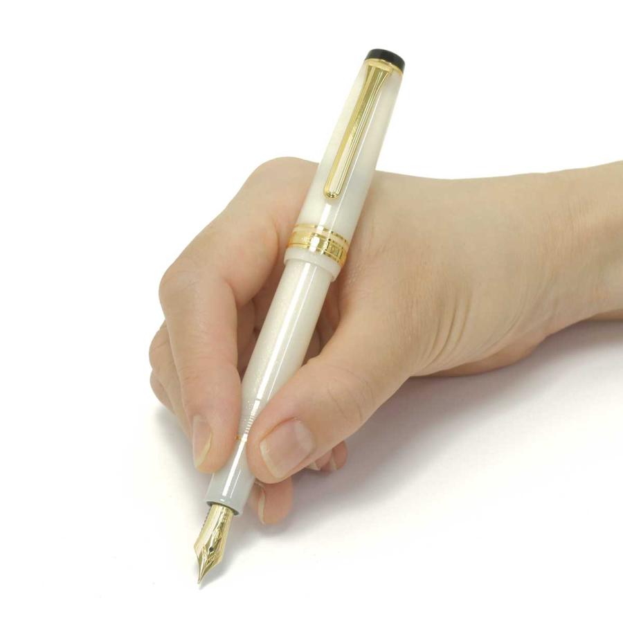 セーラー万年筆 万年筆 セーラー SAILOR 四季織 雪月空葉 名月 即日