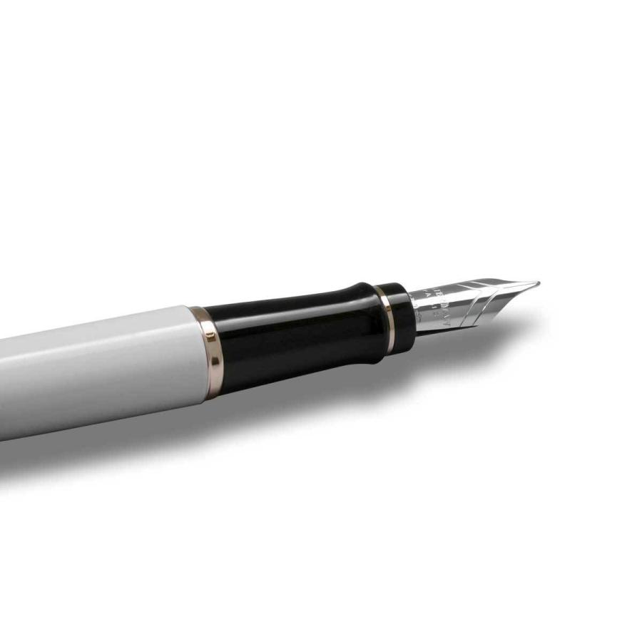 WATERMAN（ウォーターマン） 万年筆 WATERMAN EXPERT Essential