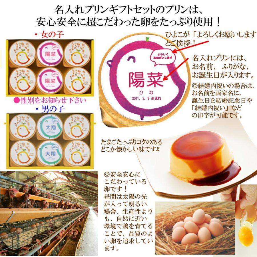 定番キャンバス 出産内祝い 内祝い 結婚 出産 お返し おしゃれ 人気 ランキング 入学 入園 初節句 名入れ プリン 3個 と 動物 ドーナッツ 6個 セット Ad 名入れg 軽 4000円 Materialworldblog Com