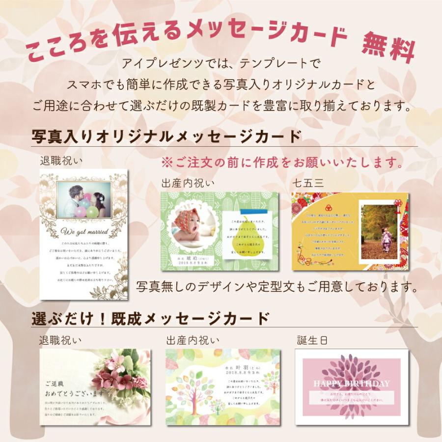 出産内祝い ホシフルーツ しっとり フルーツケーキ 9個 結婚 出産 入学 内祝い 出産祝い 結婚内祝い 初節句 入学内祝い お返し お祝い返し お祝い Ad 軽 03 アイプレゼンツ花プレゼント内祝い 通販 Yahoo ショッピング