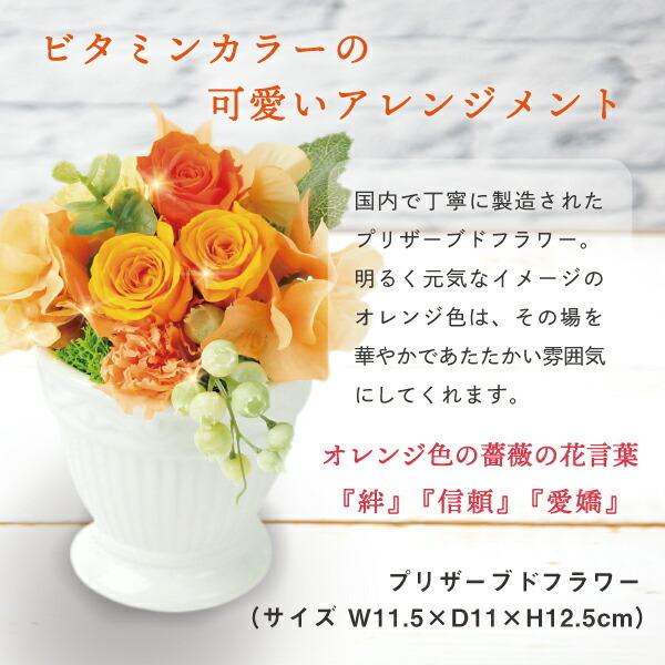 超大特価 プレゼント 誕生日 母 B Ce セット プリザーブドフラワー 花 と カタログギフト ギフト 誕生日 送料無料 メッセージカード 写真入り あすつく ギフト Db 80代 70代 60代 記念日 お祝い 退職祝い 結婚祝い ランキング カタログギフト Www Solidarite