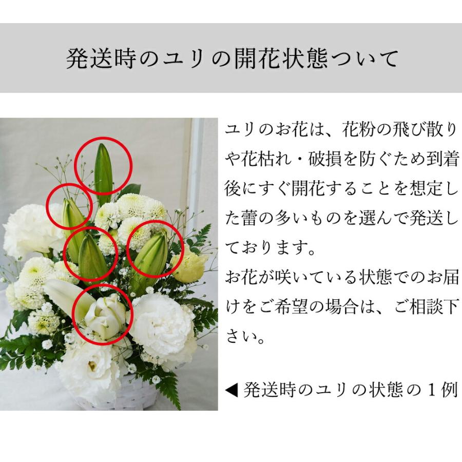 生花 お供え 白 L アレンジメント カゴ付き と 線香 セット 10000円 (HM)[a] 翌日 お届け 法事 仏事 命日 一 周忌 1 三 3 回忌 四十九日 法要 お悔やみ｜i-pre｜12