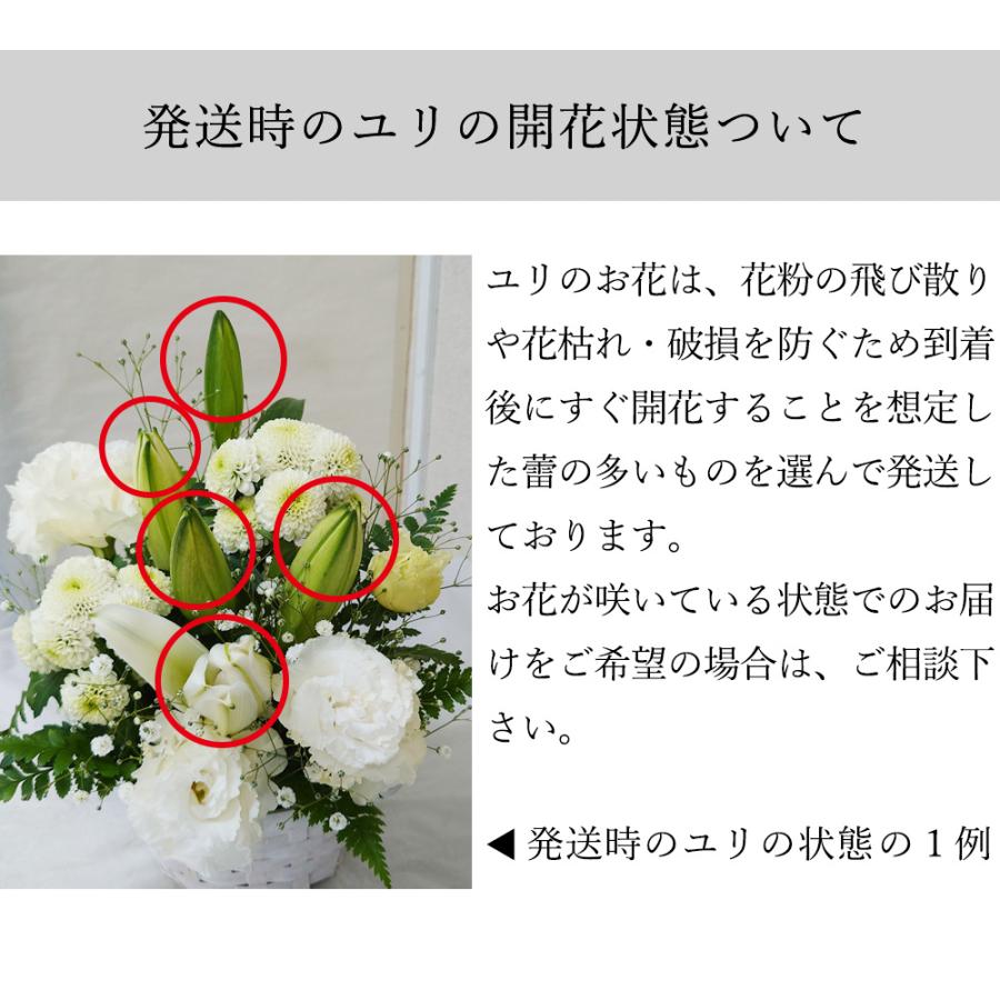 花 カラー Hm L お供え物 お墓参り お彼岸 お悔やみ お茶 と アレンジメント カゴ付き ギフト セット 一周忌 三周忌 仏事 仏壇花 仏花 供花 初七日 初盆 命日 四十九日 弔事 御供 御供え物 新盆 最高位十段監修 月命日 枕花 法事