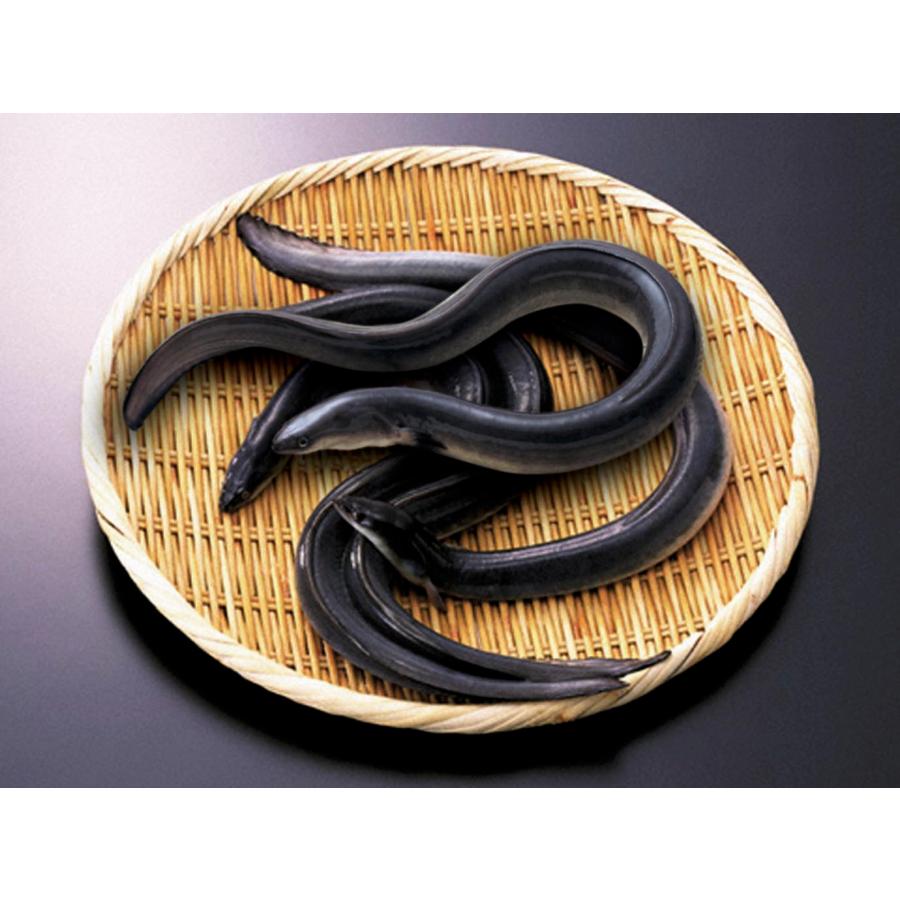 新春SALE！ 内祝い 出産内祝い 出産 お返し 写真入り メッセージカード 結婚内祝い 出産祝い お歳暮 浜松・浜名湖うなぎ贅沢セット 6人前 (KM)軽 15000円 【1893126706】(9685円)