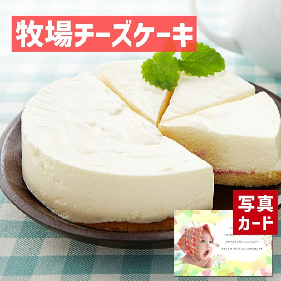 出産内祝い ギフト 信楽 山田牧場 レアチーズケーキ お菓子 スイーツ お礼 お見舞い 結婚 成人式 内祝い 5000円 Sk 軽 Sk アイプレゼンツ花プレゼント内祝い 通販 Yahoo ショッピング