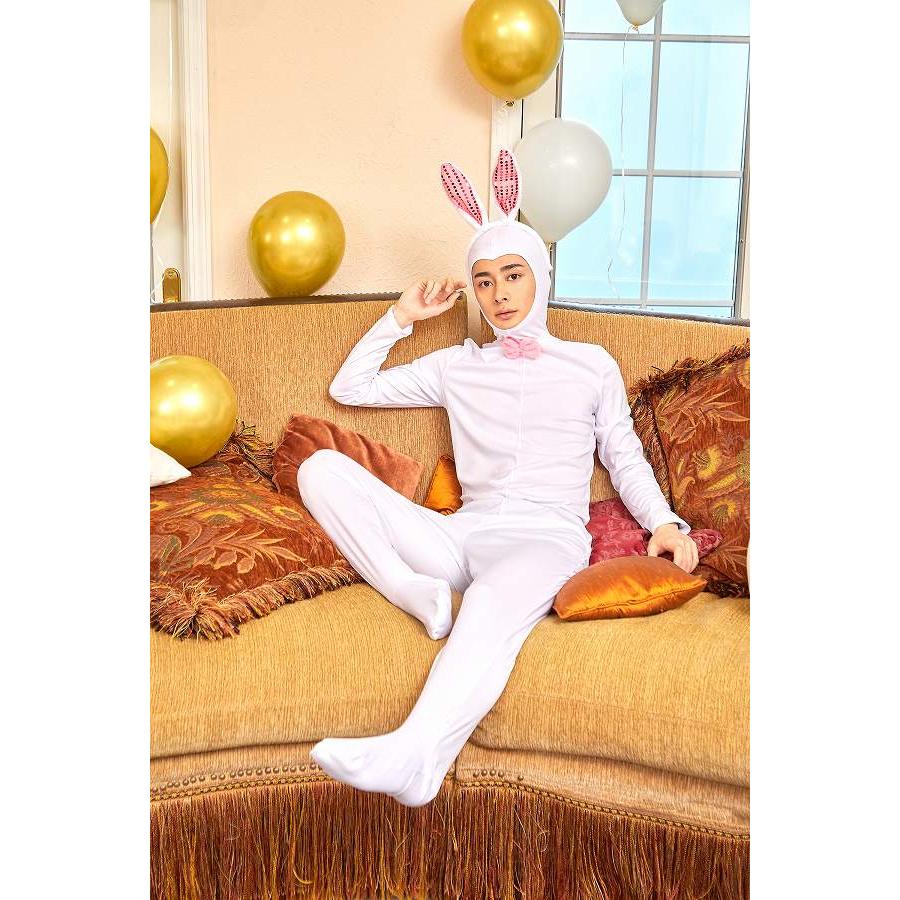 うさぎ全身タイツセット      /ウサギ コスプレ タイツ ラビット コスチューム なりきり 仮装 干支 年賀状 撮影 アニマル ハロウィン イベント (A-2089_901006) |  | 05