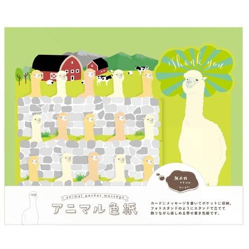 色紙 寄せ書き 送別会 贈り物 ギフト 記念品 プレゼント お祝い 卒業式 メッセージ/ アニマル色紙 アルパカ (B-3130_054412)|i-pumpkin|03