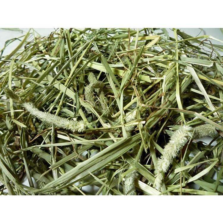 ソフトプレス 1番刈り アメリカ産最高級プレミアムチモシー 500g 牧草 チモシー うさぎ チンチラ モルモット 草食動物 愛らびっと :0000000005:うさぎグッズ専門店 愛らびっと - 通販 - Yahoo!ショッピング ソフトプレス 1番刈り アメリカ産最高級プレミアムチモシー 500g 牧草 チモシー うさぎ チンチラ モルモット 草食動物 愛らびっと :0000000005:うさぎグッズ専門店 愛らびっと - 通販 - Yahoo!ショッピング