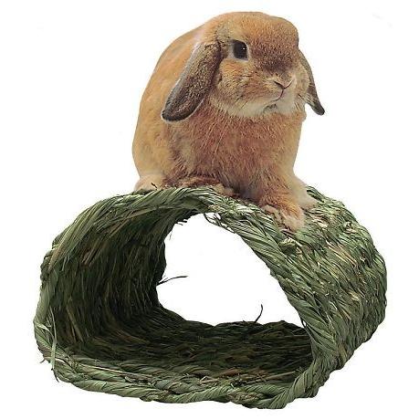 チンチラ うさぎ チモシー まとめ売り チンチラ うさぎ チモシー まとめ売り Amazon | もふぱふぇ