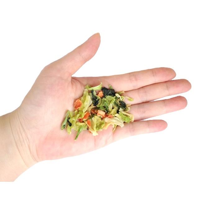 野菜ミックス 0ｇ 送料無料 春の新作 うさぎ チンチラ 犬 モルモット 草食動物