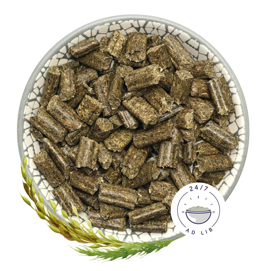 bunnyNATURE ラビットドリーム ベーシック 1.5kg うさぎ 給仕量制限無