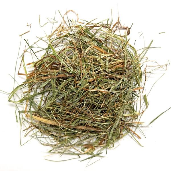 アウトレット スモールペットセレクト プレミアム ウルトラソフト