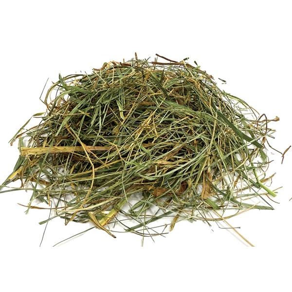 アウトレット スモールペットセレクト プレミアム ウルトラソフト