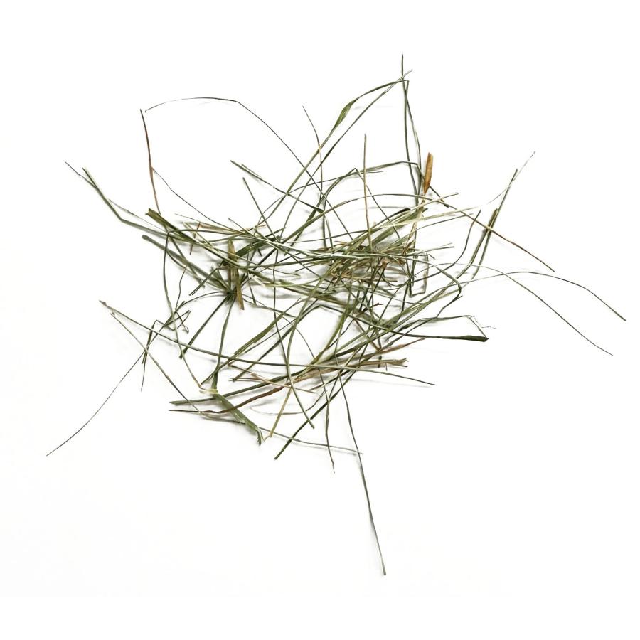 アウトレット スモールペットセレクト プレミアム ウルトラソフト