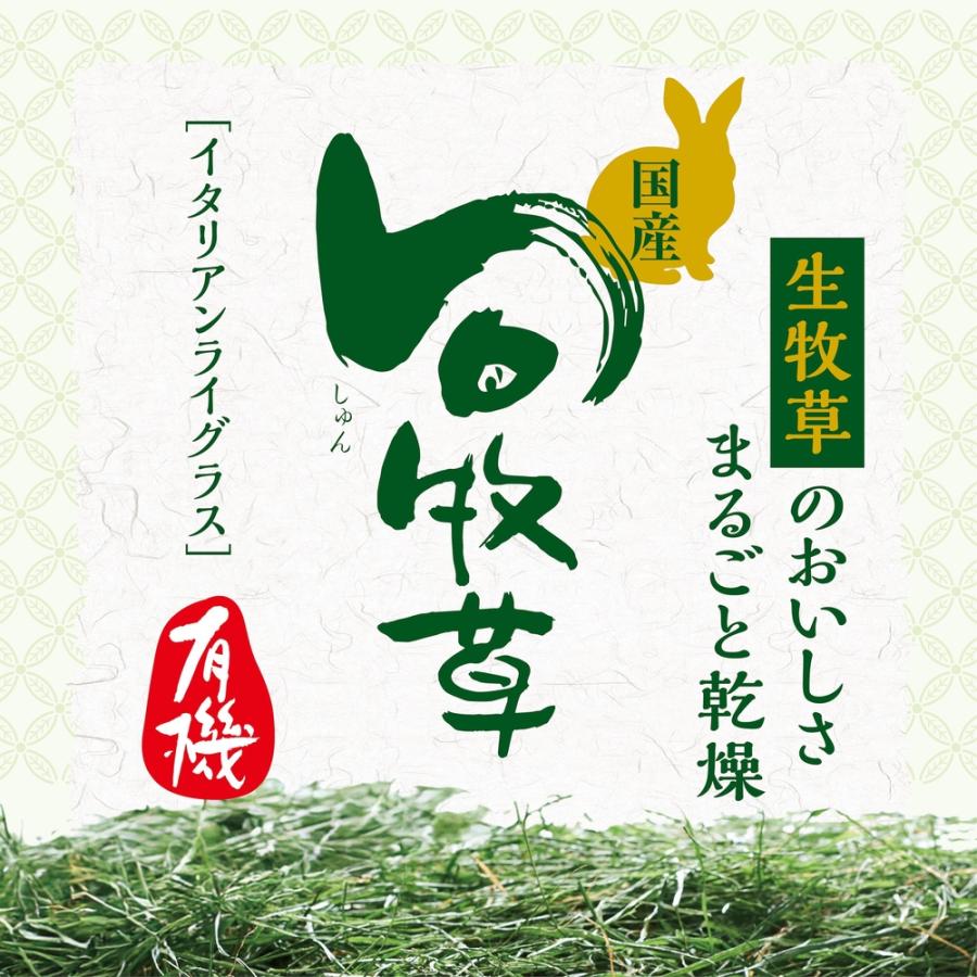 GEX（ジェックス） 旬牧草 イタリアンライグラス 1kg うさぎ