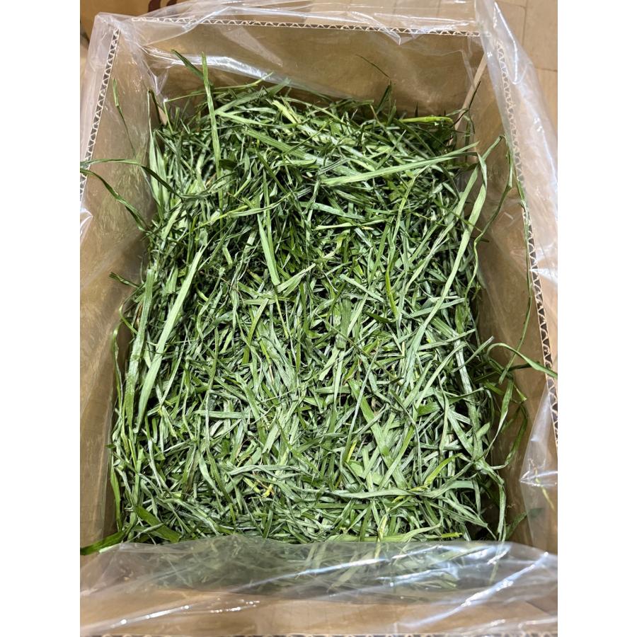 愛らびっと 国産 イタリアンライグラス 500g | 