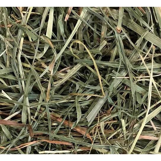 オリミツ（ORIMITSU） ロングマットソフト800g うさぎ モルモット