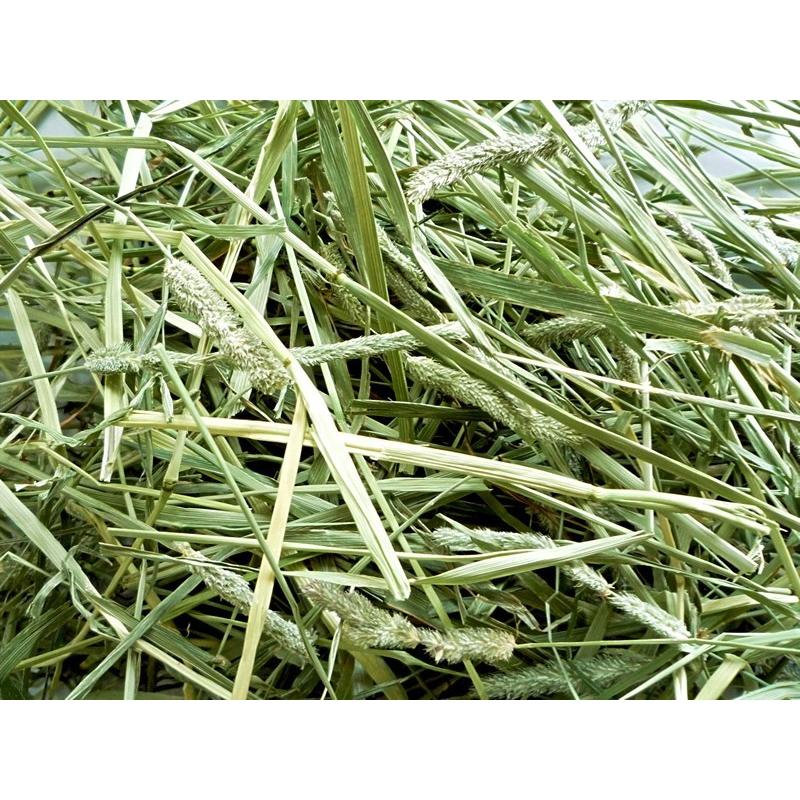 スーパープレミアムチモシー 1番刈り １ｋｇ（５００ｇ×２） シングルプレス 牧草 チモシー うさぎ チンチラ モルモット 草食動物 愛らびっと オリジナル牧草 |  | 01