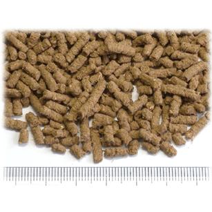 三晃商会 ハリネズミフード 1Kg ハリネズミ えさ エサ 餌 SANKO