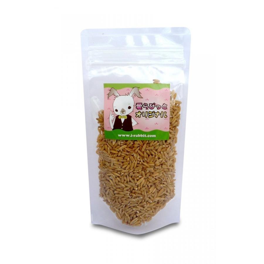えん麦300ｇ　うさぎ　鳥　フード　餌　おやつ　無添加　無着色 |  | 01