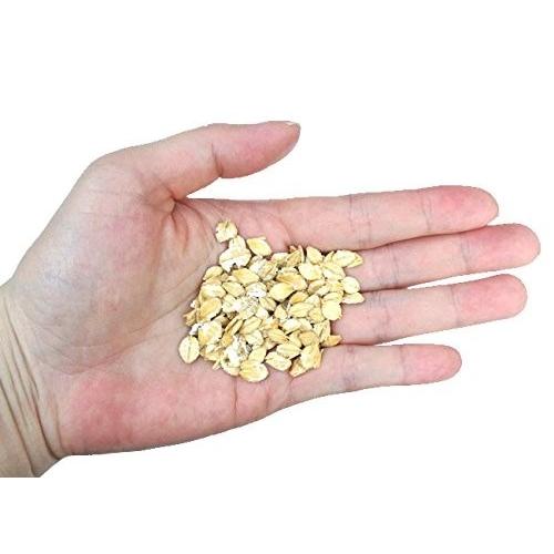 大麦　300ｇ　うさぎ　鳥　フード　餌　おやつ　無添加　無着色 |  | 02